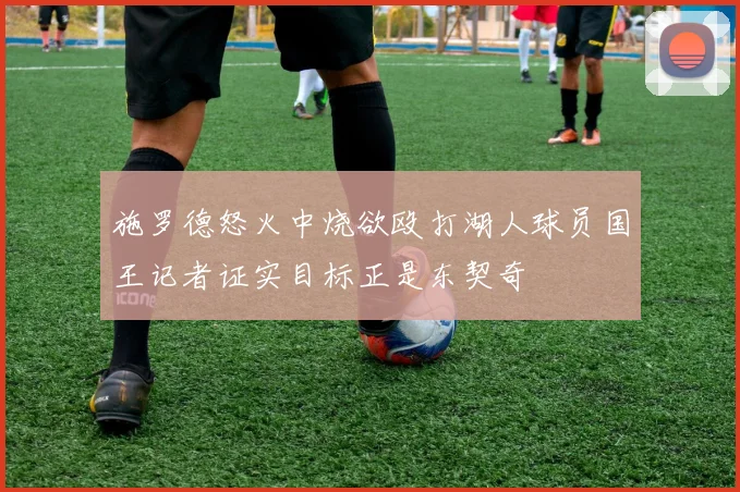 施罗德怒火中烧欲殴打湖人球员国王记者证实目标正是东契奇